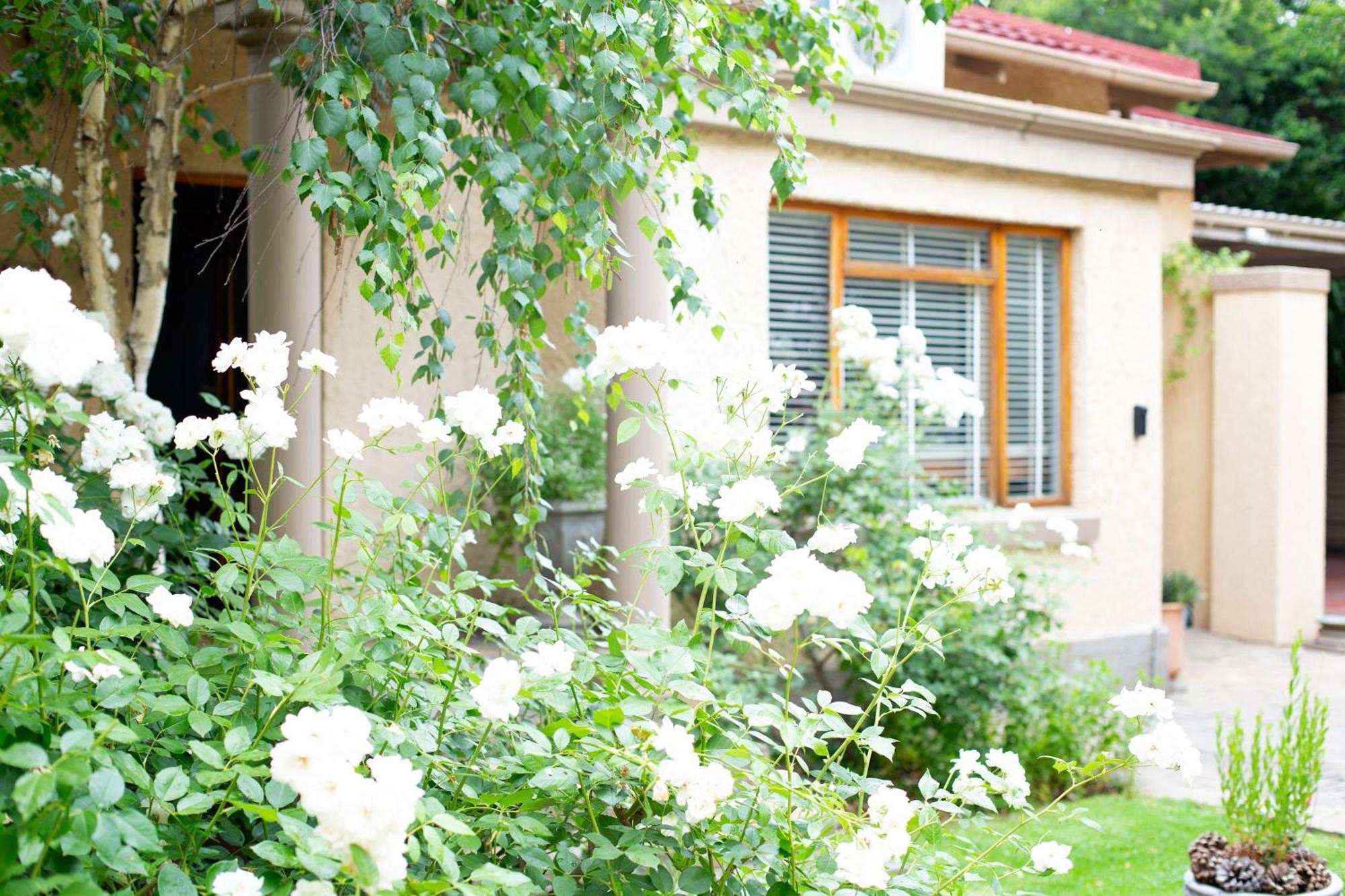 Crisp Guest Rooms Bloemfontein Bagian luar foto